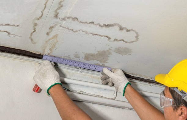 Reliable Mold Remediation contractor in Spring Lake, NC by Water Damage Irwin